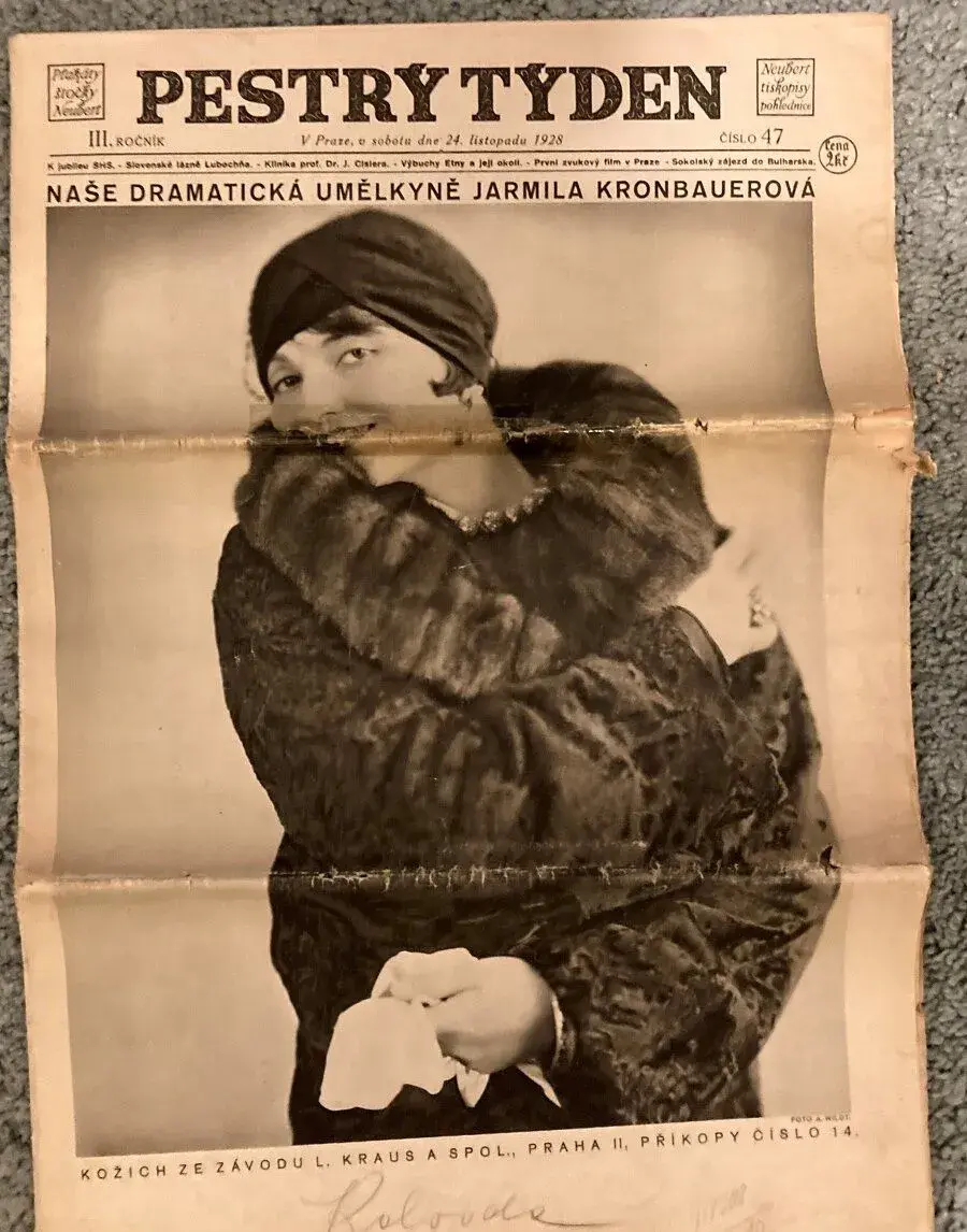 Pestrý týden - 47/1928