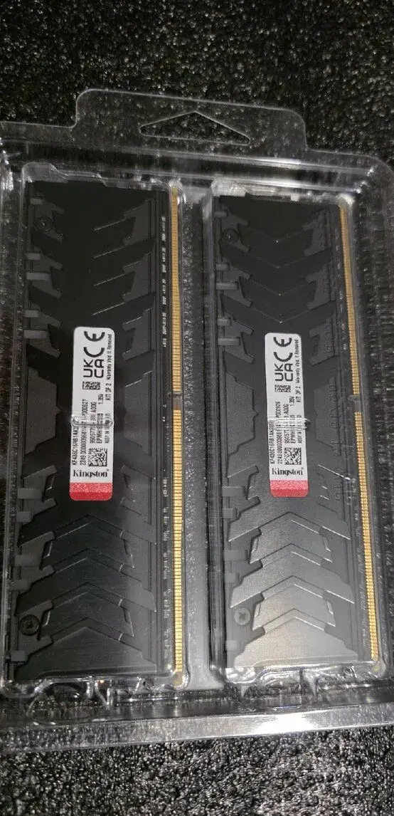 32GB RAM Kingston FURY Renegade RGB 3600MHz (CL16)