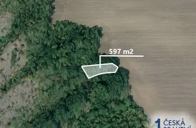 Pole 597 m², Podíl 50 % o výměře 299 m²