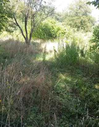 Podnajem pokoje,MB,čejetičky