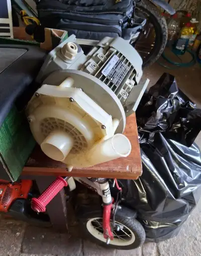 Motor