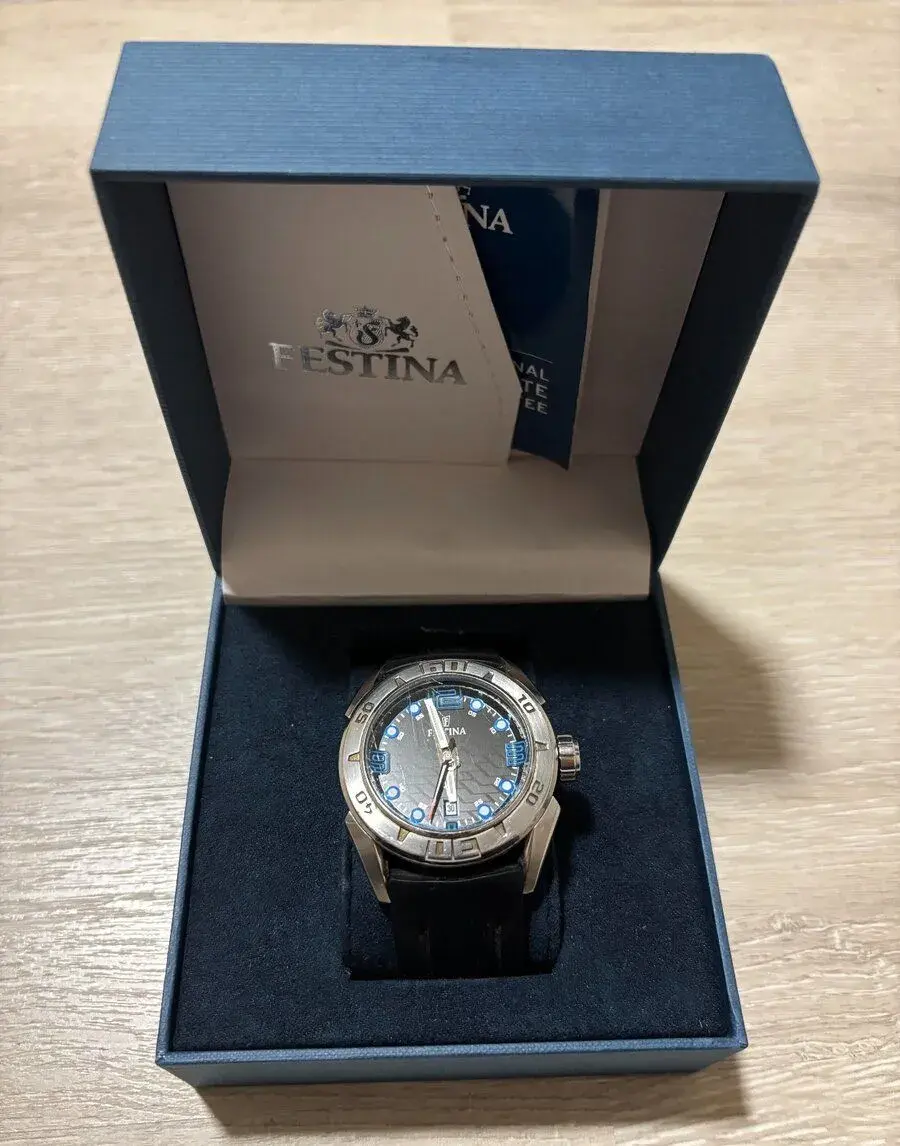 Pánské hodinky Festina, model f16505/02