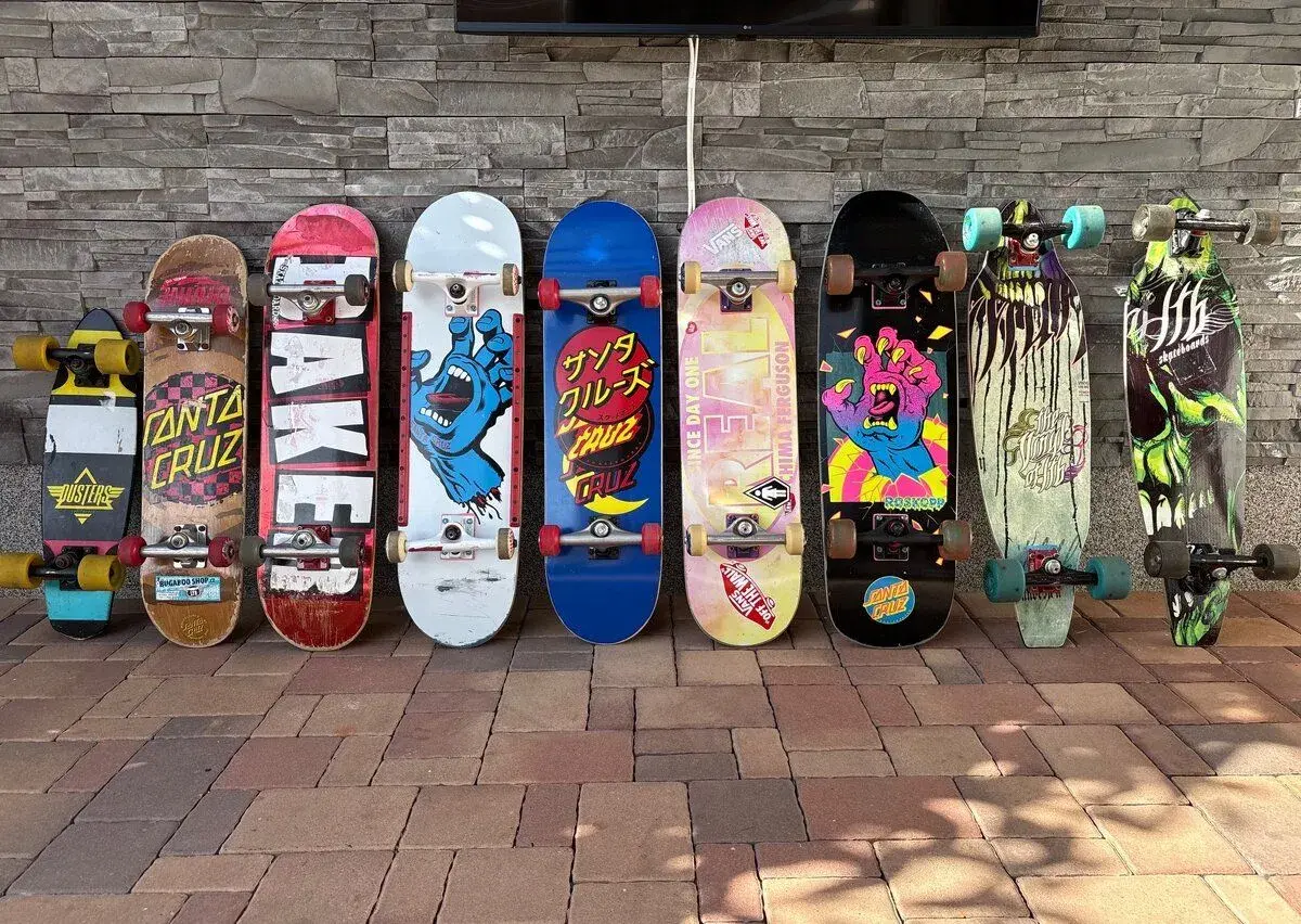 Skateboard/ Longboard Baker, Santa Cruz, Duster