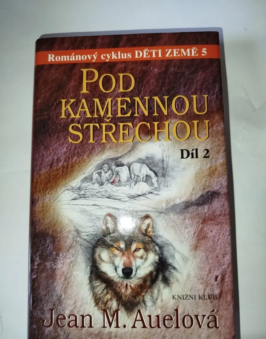 Série Děti země, Pod kamennou střechou