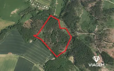 Les 54 185 m², Podíl 7 % o výměře 3 763 m²