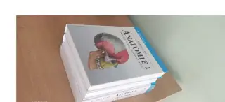 anatomie 1,2,3 čihák rad