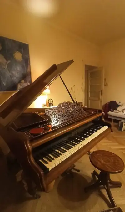 Křídlo/klavír (Vídeň) na prodej