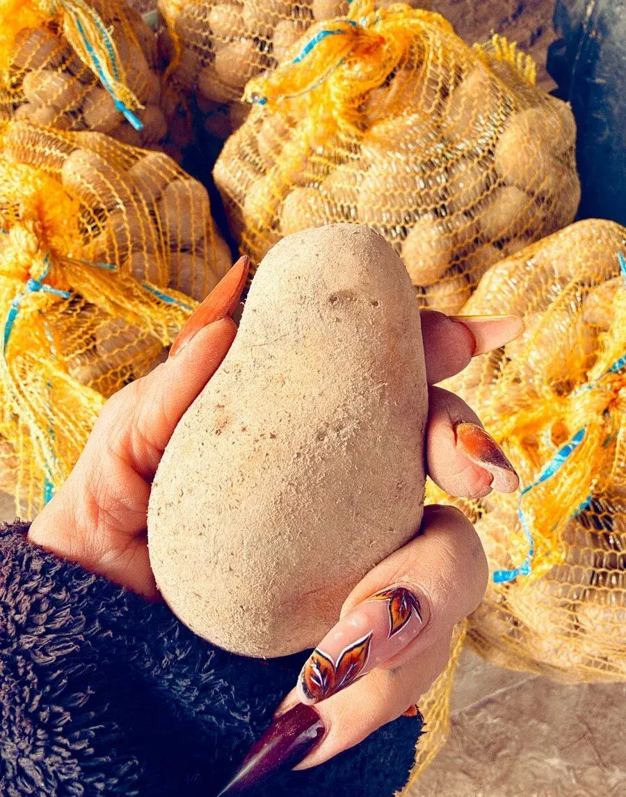BRAMBORY NA USKLADNĚNÍ MENŠÍ ~ ADÉLA 🥔
