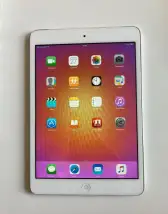 iPad 12,5 GB