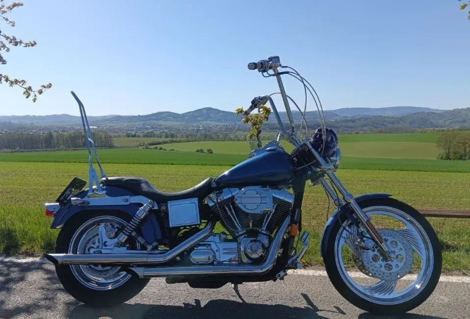 Harley Davidson FXDL Dyna Low Rider