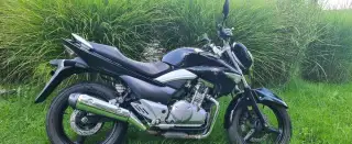 SUZUKI GW 250 Inazuma