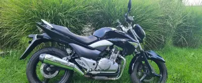 SUZUKI GW 250 Inazuma
