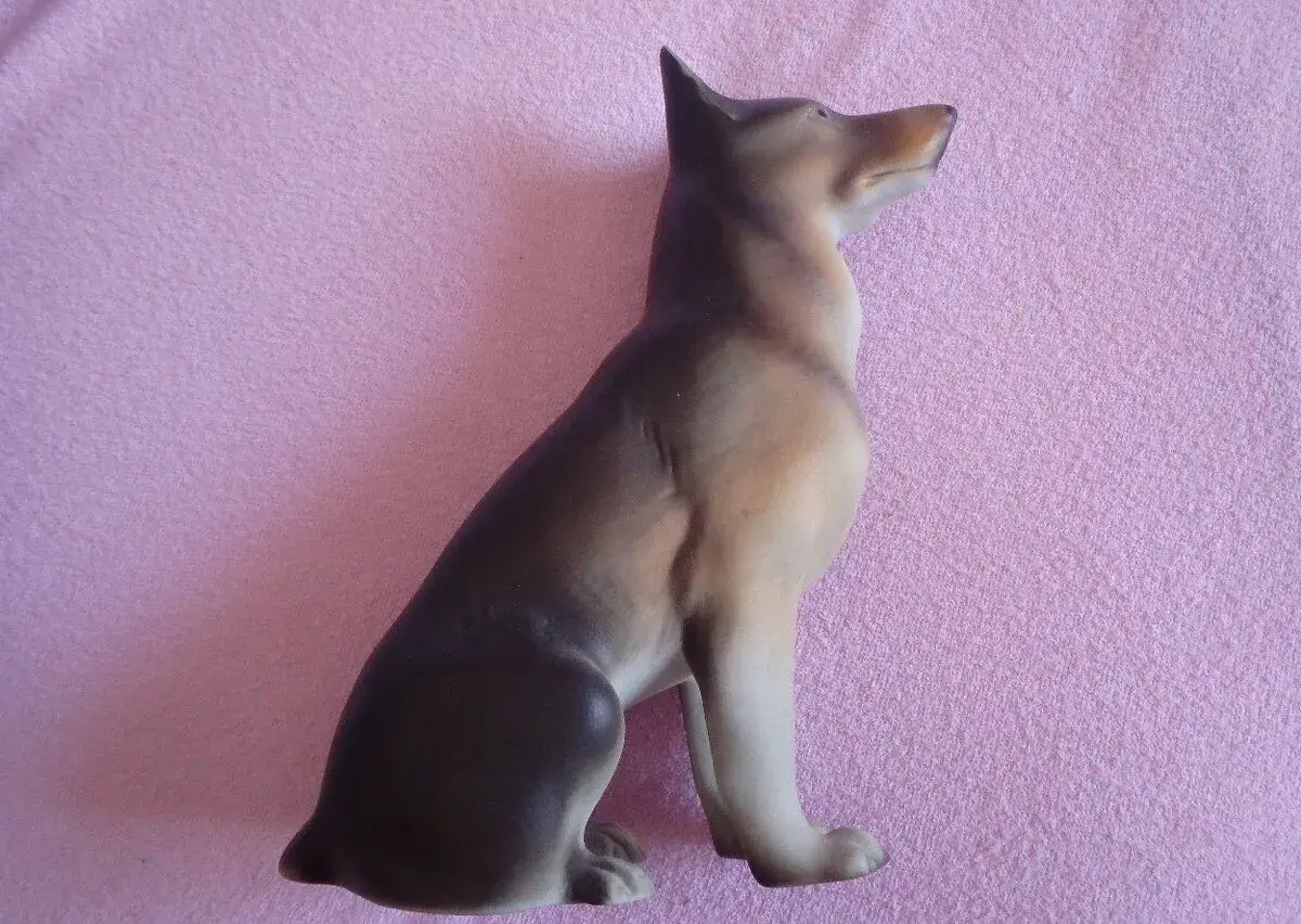 SOŠKA DUX pes VLČÁK