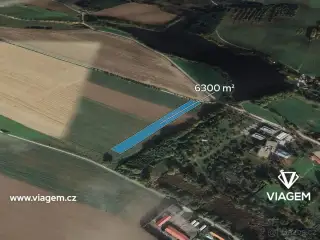 Pole 7 400 m², Podíl 17 % o výměře 1 233 m²