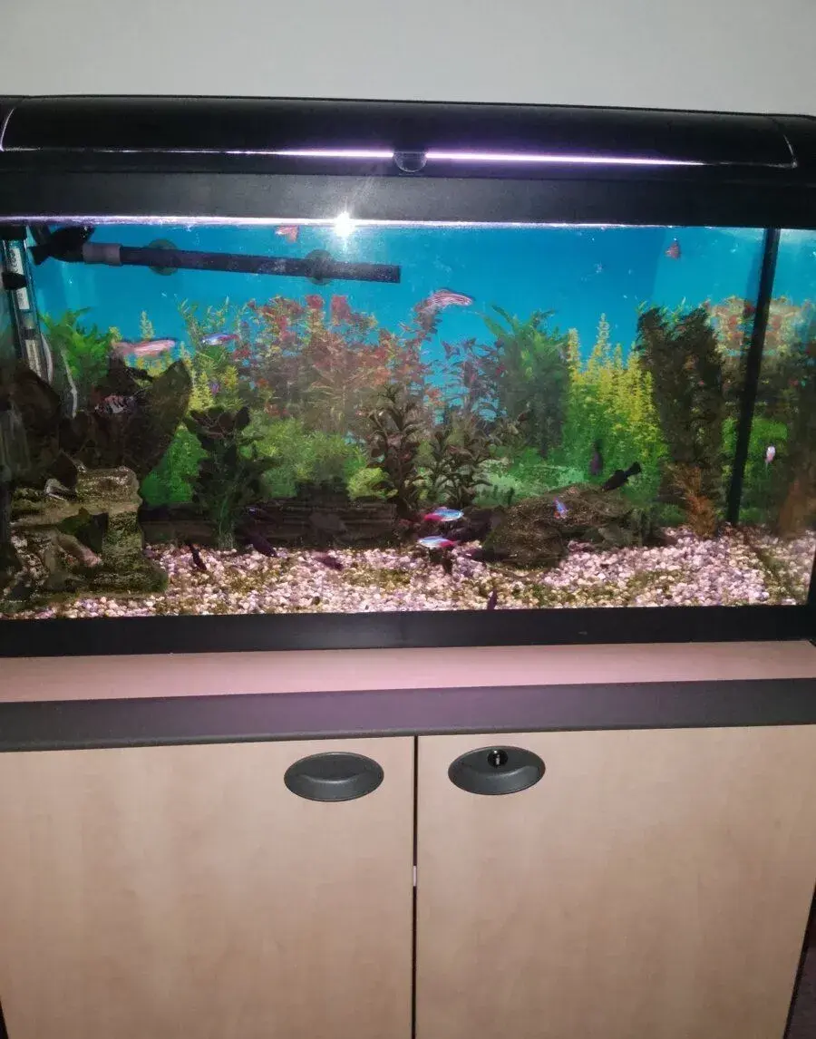 Akvarijní set