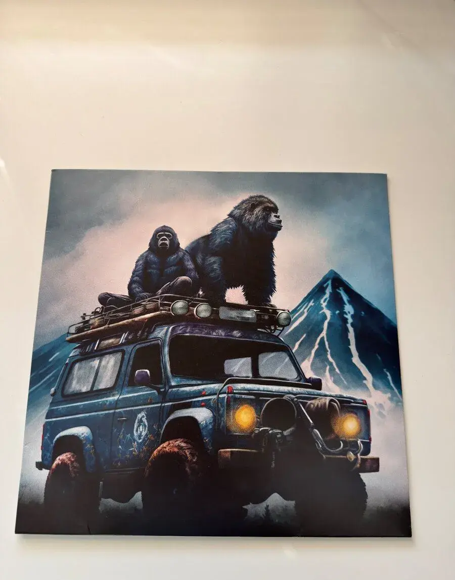 Calin & Viktor Sheen – Roadtrip – vinyl (černobílý)