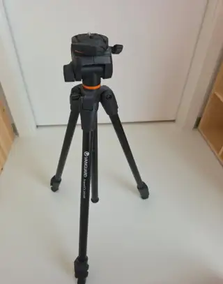 Vanguard Vesta 203AP
