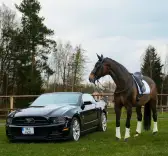 Ford Mustang – 207 000 km
