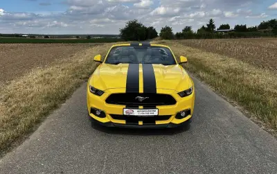 Ford Mustang GT 5.0 V8 cabrio – Poukaz