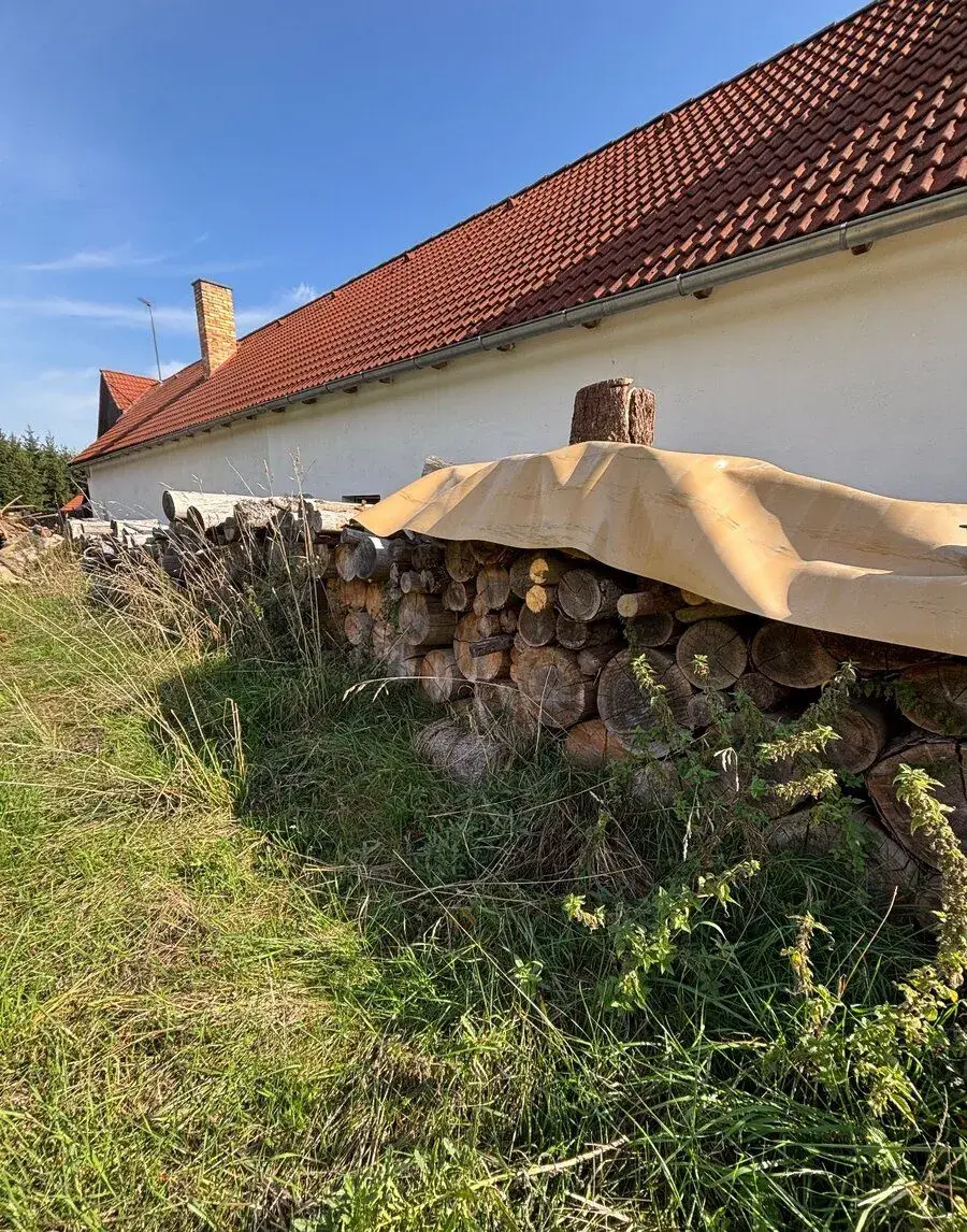 Palivové dřevo