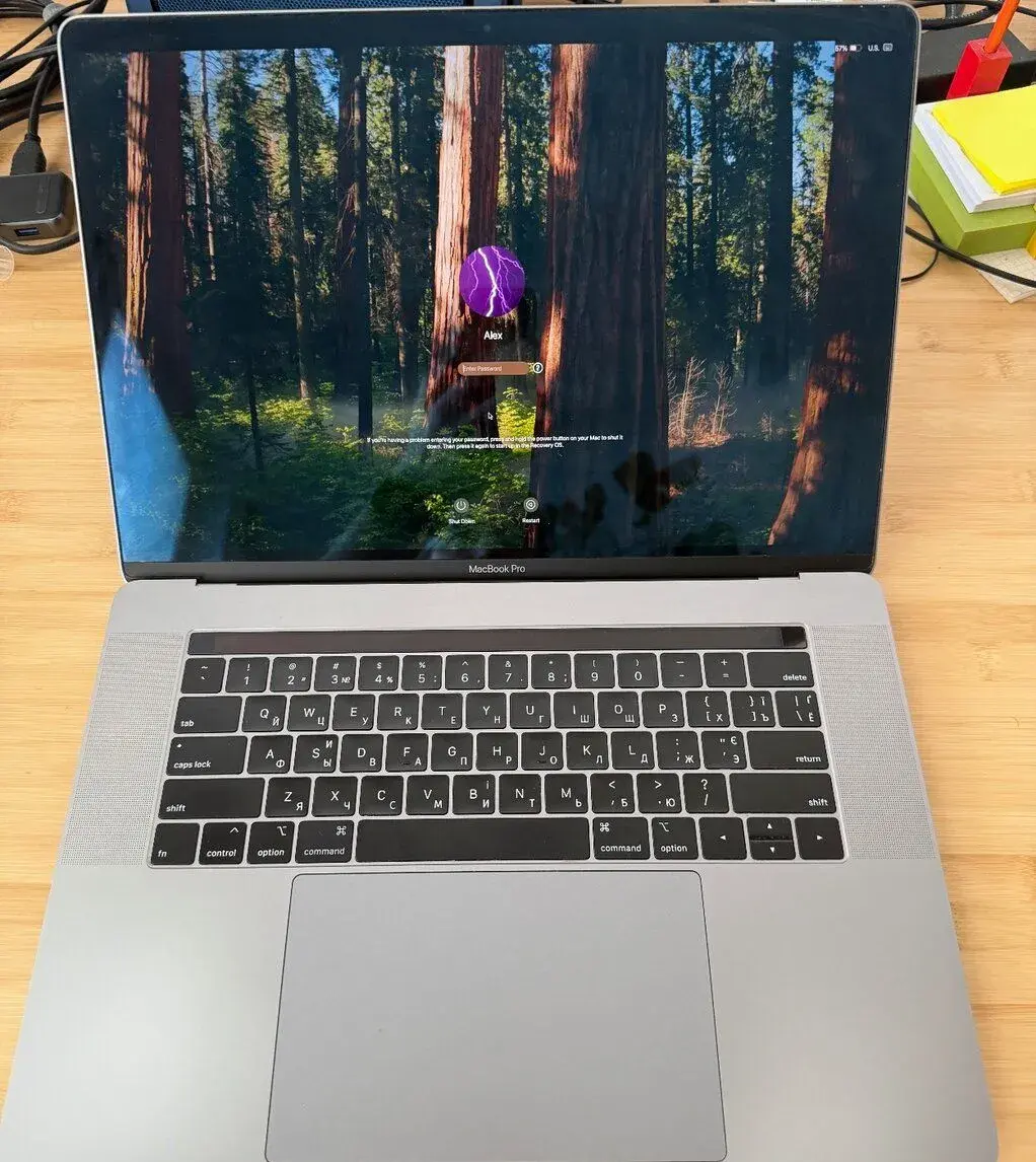 MacBook Pro 15", 32 GB RAM, 500 GB SSD, Radeon Pro 560X
