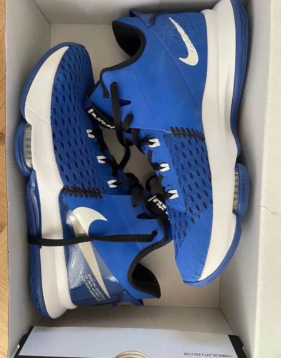 Basketbalové boty Nike LeBron Witness V