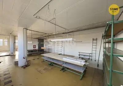 Pronájem komerčního prostoru 128 m², Olomoucká 37 – , 135119