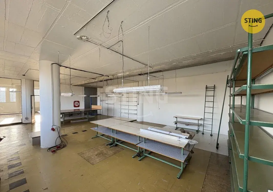 Pronájem komerčního prostoru 128 m², Olomoucká 37 – , 135119