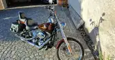 Harley davidson softail custom