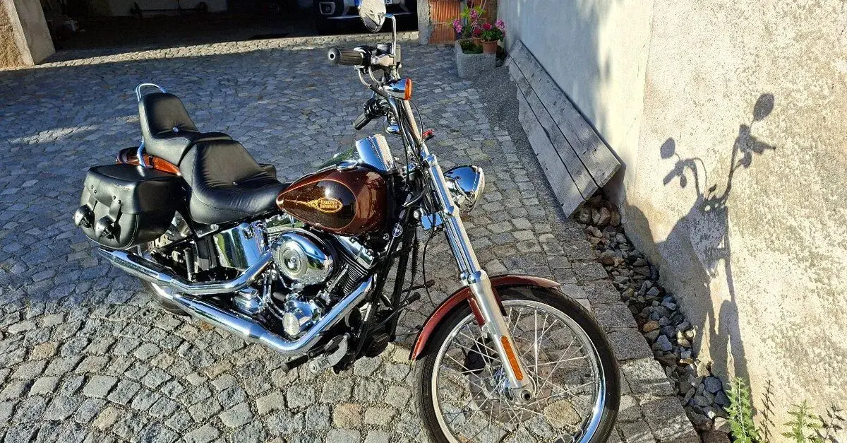 Harley davidson softail custom