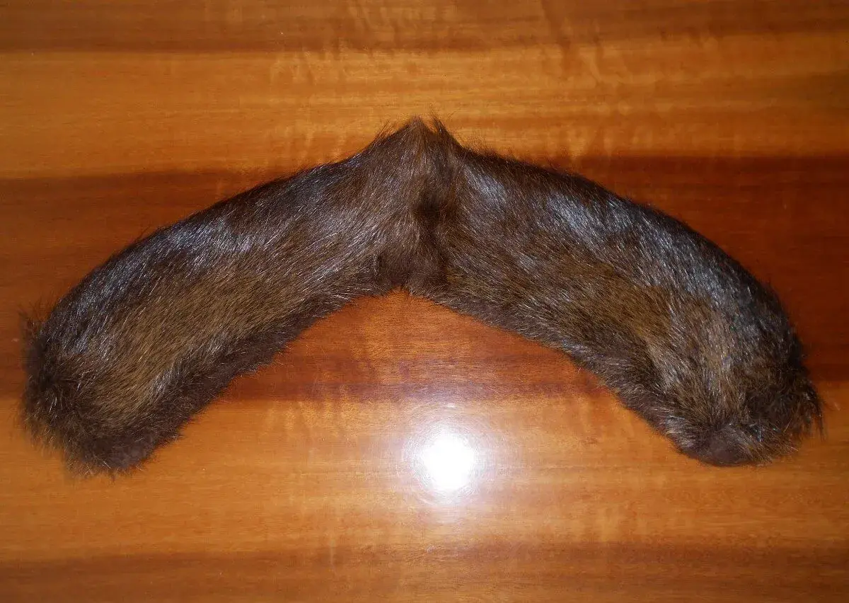 Límec z nutrie.