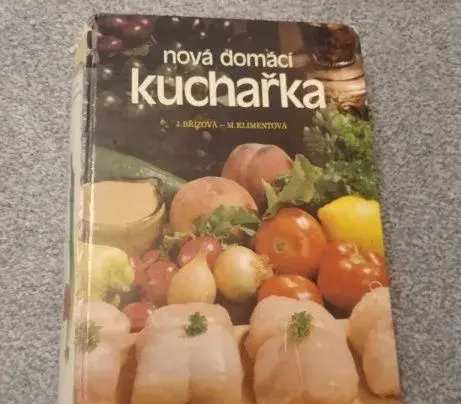 domácí kuchařka