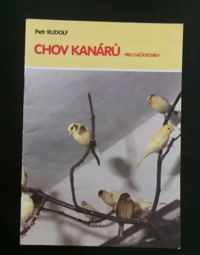 Chov kanárů pro začátečníky.