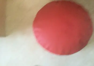 bobík na sezení