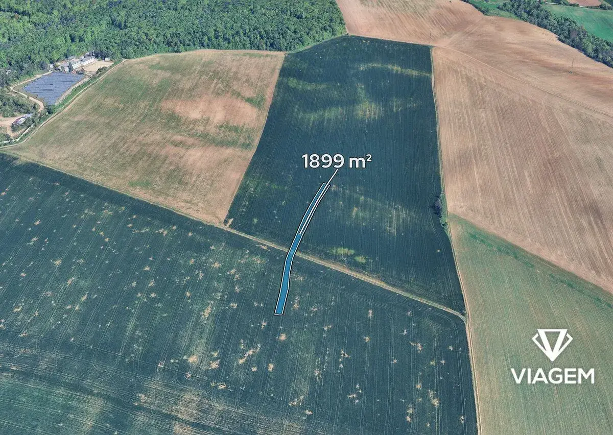 Pole 1 899 m², Podíl 50 % o výměře 950 m²