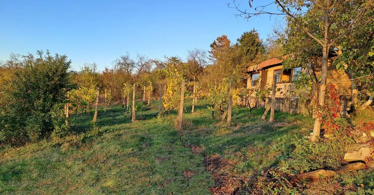 Prodej zahrady 2010 m2, Dolní Kounice