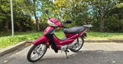 Yuki Smile 100