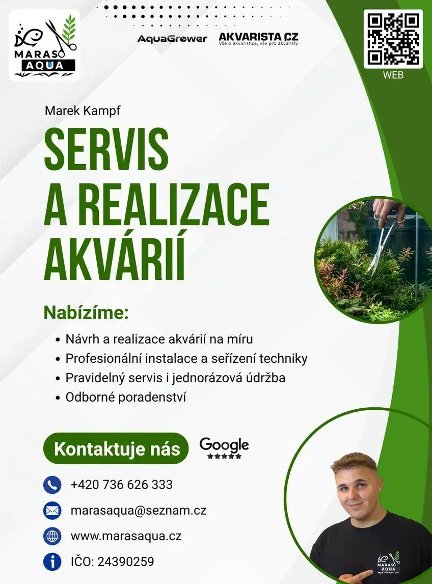 MarasAqua - servis a realizace akvárií