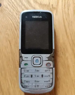 Mobilní telefon Nokia C1-01
