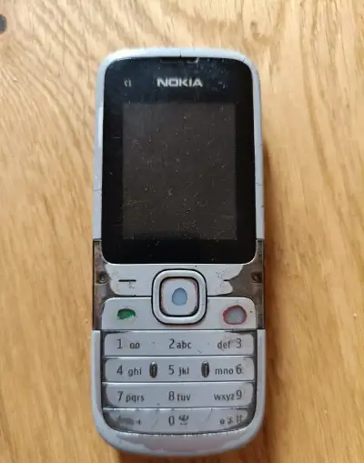 Mobilní telefon Nokia C1-01