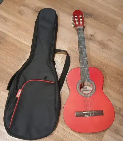 Kytara stagg 1/2 a pouzdro