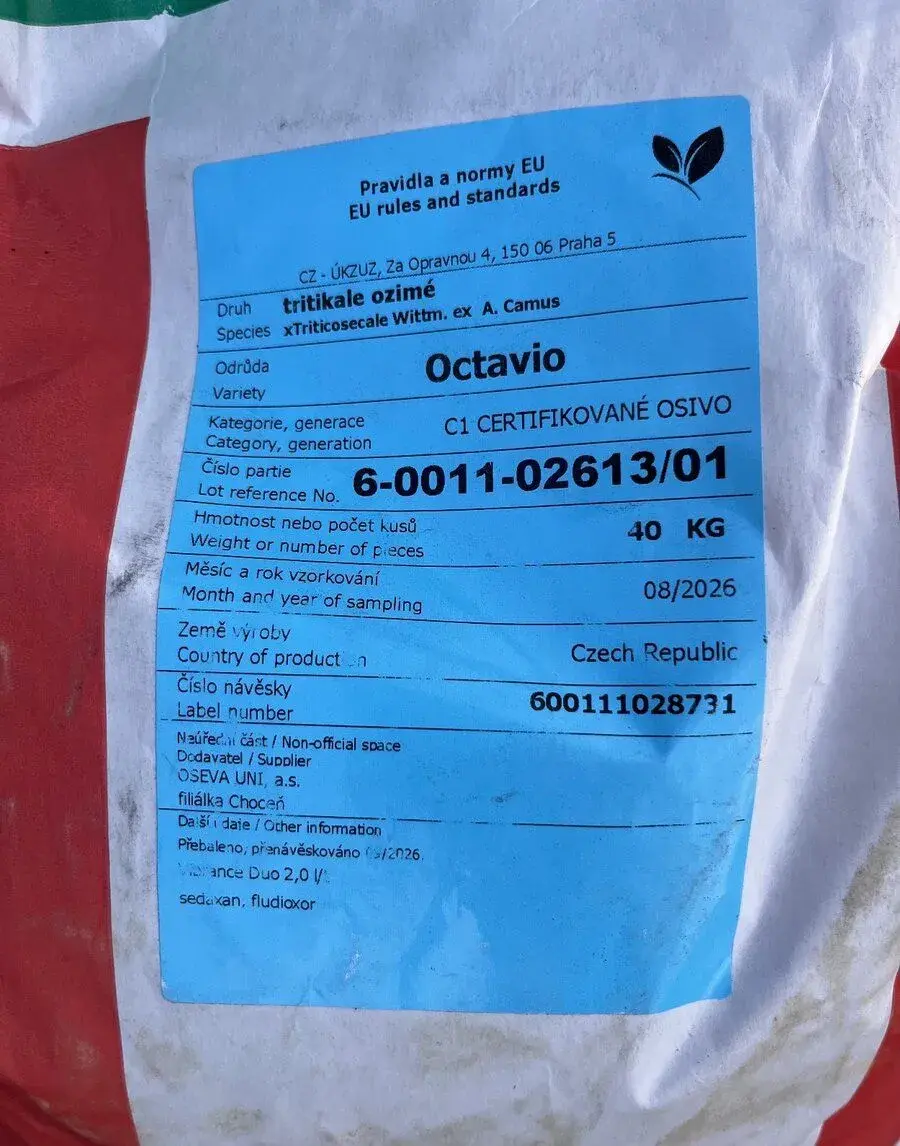 Osivo tritikale
