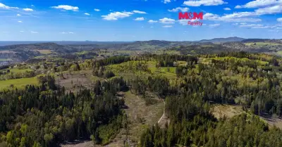 Prodej lesa, 11203 m², Jirkov u Železného Brodu