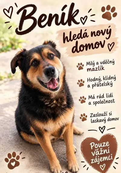 Beník hledá nový domov
