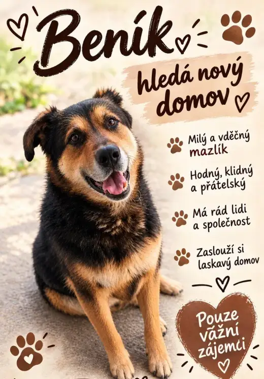 Beník hledá nový domov