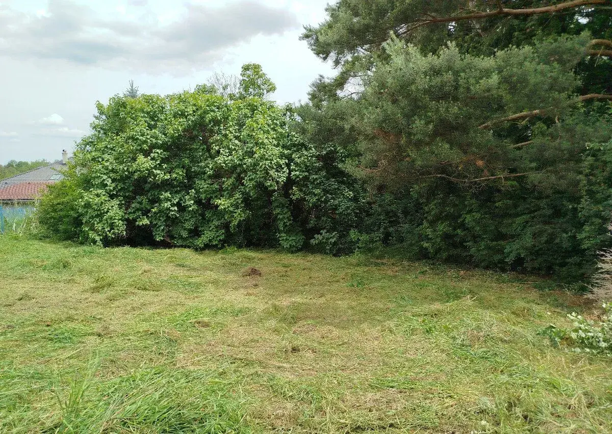 Zemědělské pozemky
