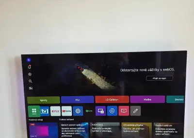 Televize LG OLED55B46LA 55" (139 cm) úhlopříčka.