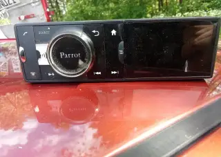 Parrot asteroid