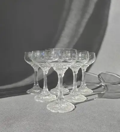 Rosenthal Monbijou Classic Rose – 6 křišťálových skleniček