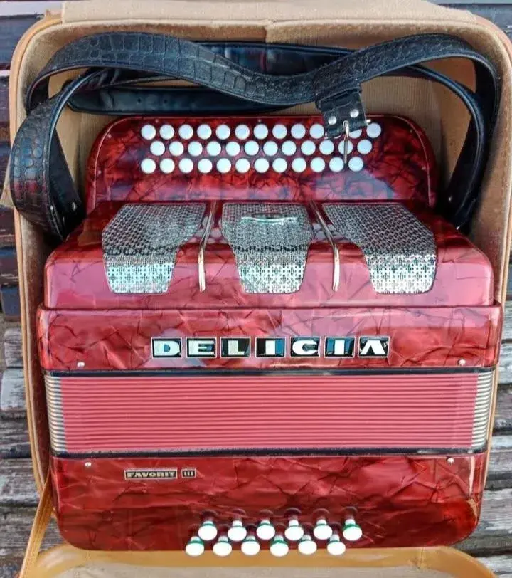 heligonka - Delicia